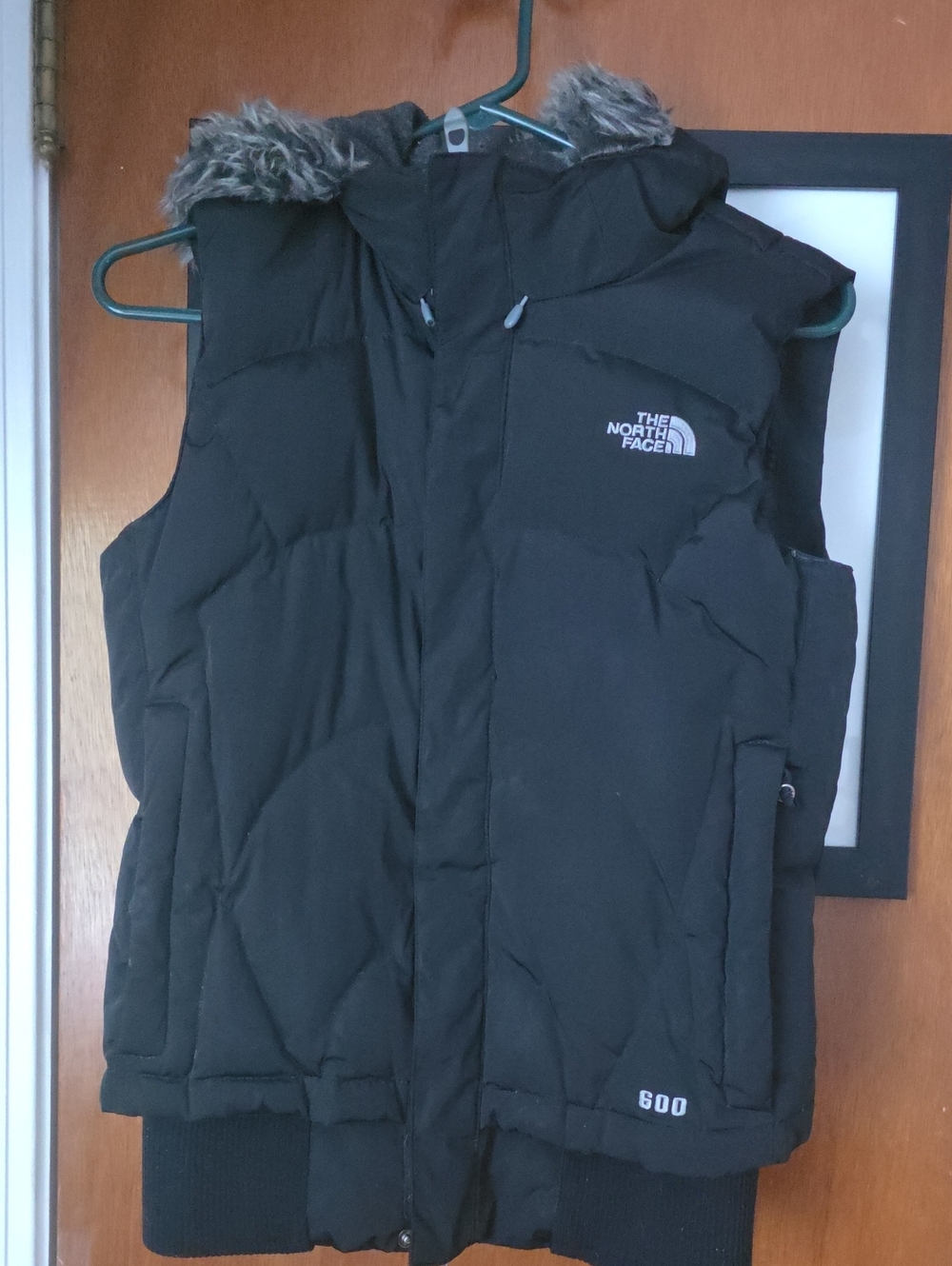 The North Face Prodigy 600 Down Fill Vest